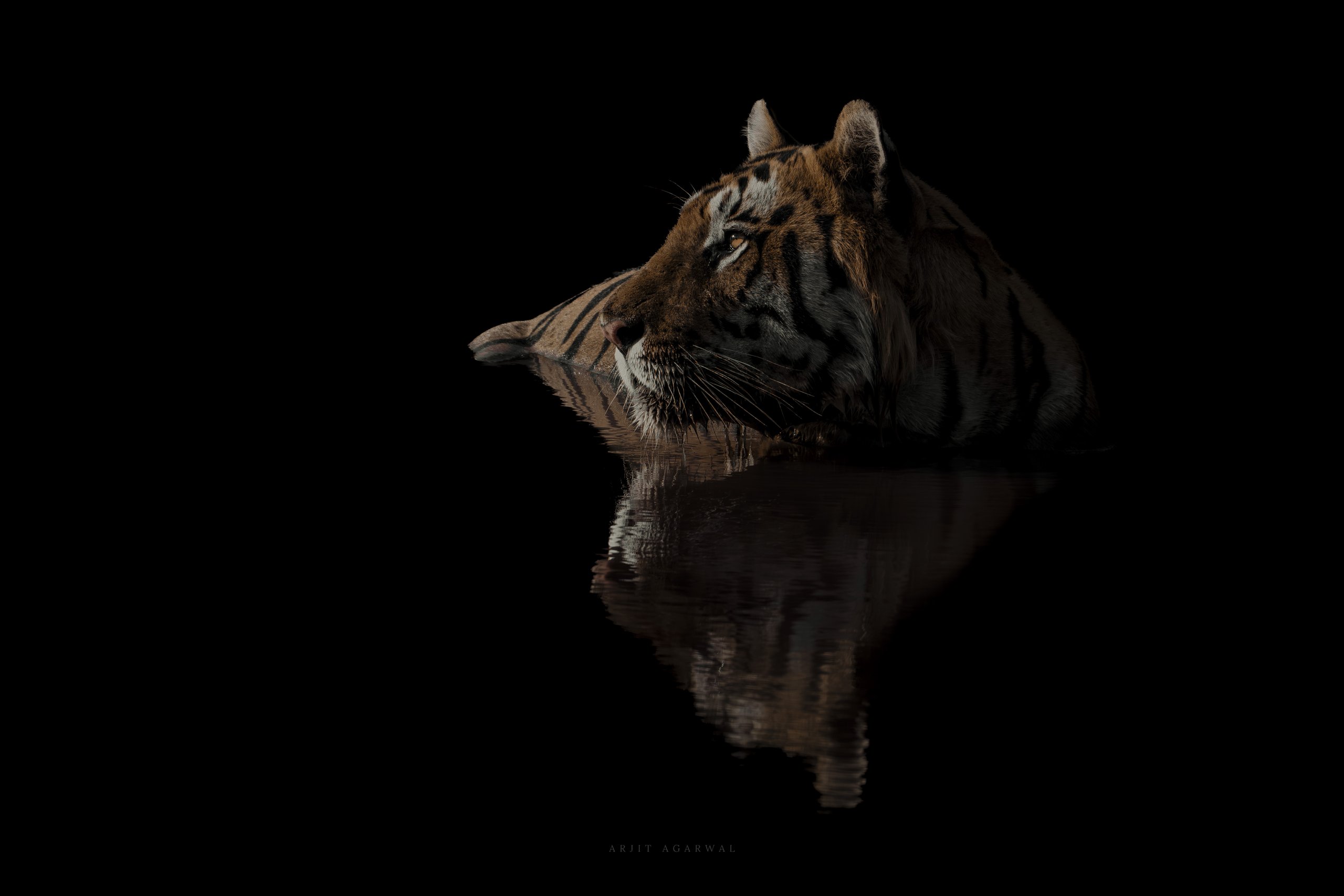 Reflection — India
