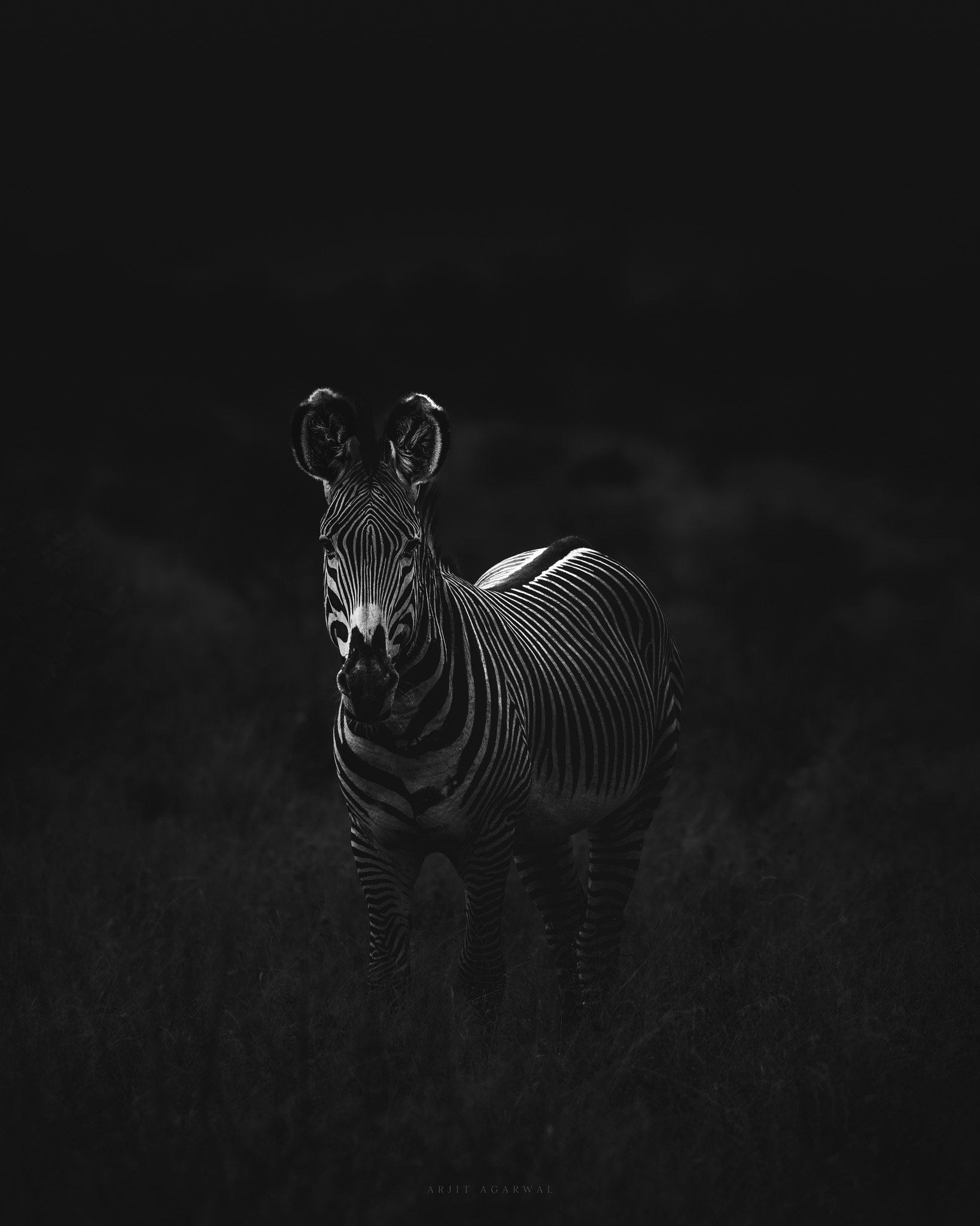 Solace — East Africa